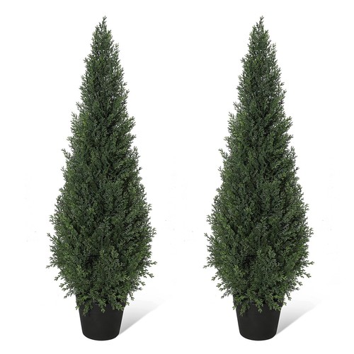 2pz albero cedro - albero, naturale