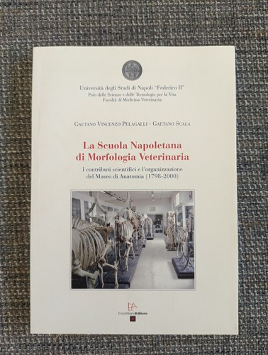 Scuola napoletana di - scuola,