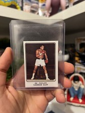 Figurina Panini Cassius Clay