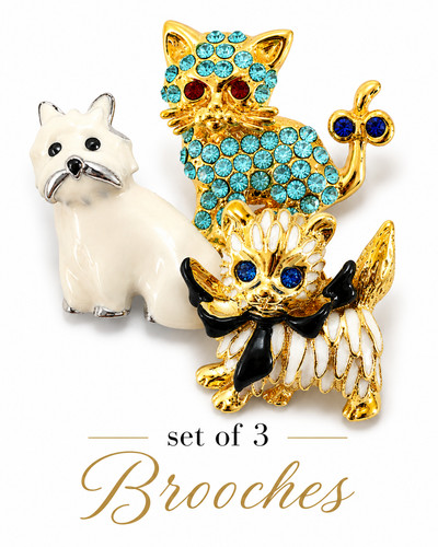 Pezzi spilla shih - pezzi,