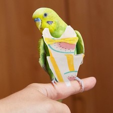 Pannolino per uccelli con motivo a frutta, adorabile tuta da per