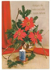 1977 stella di Natale rami abete vaso ottone candela foto cartolina natalizia