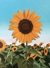 Girasole, dipinto olio su tela