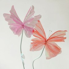 Farfalla simulazione colorata