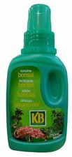 KB CONCIME BONSAI 250ML