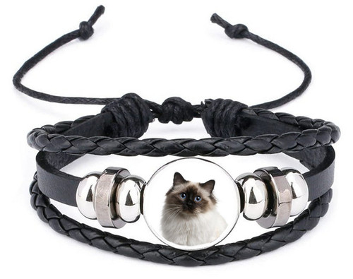 Birman cat pet black - black, leather