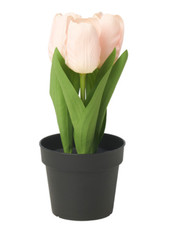 IKEA FEJKA Pianta artificiale