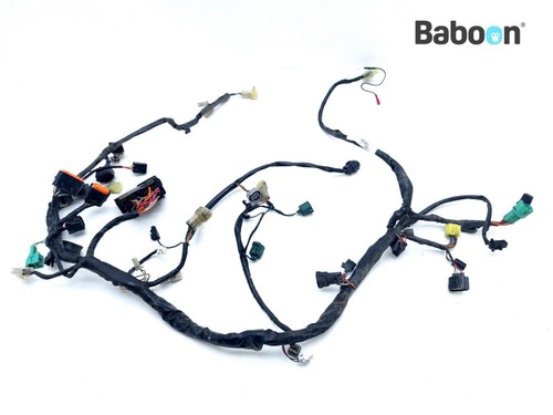 Cablaggio suzuki 1000 - dl,