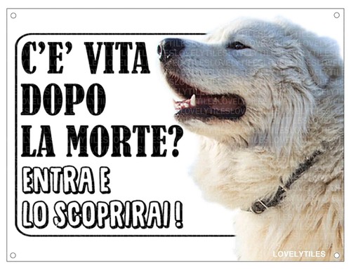 Cartello attenti cane - attenti,