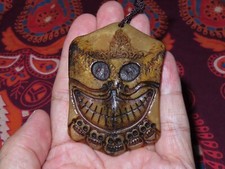 Nepal Tibet Buddista Cervo