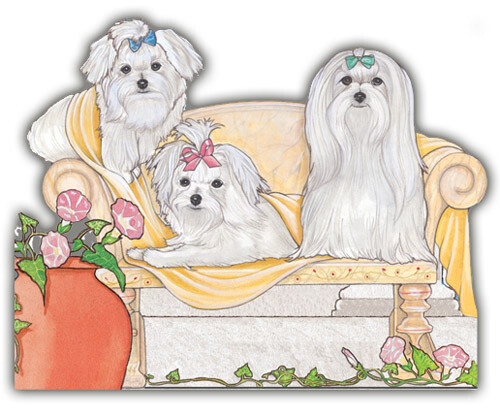 Calamita maltese legno - maltese, in