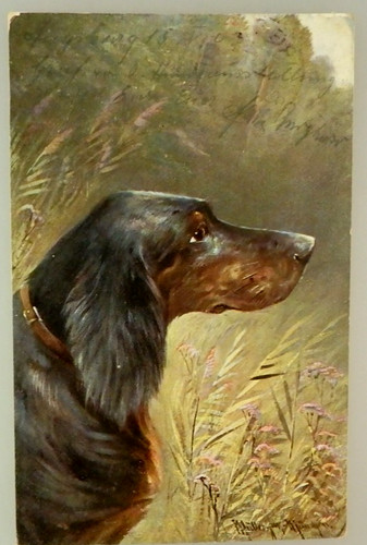 Cartolina artistica moritz - cartolina,