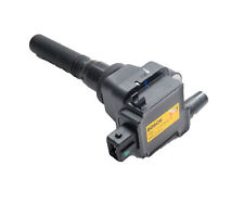 B010211 BOBINA INIEZIONE