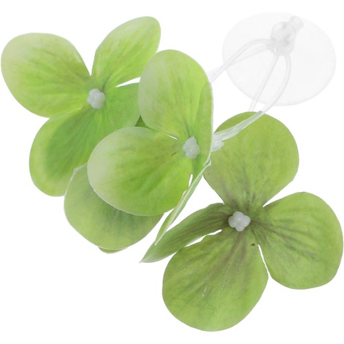 Accessori acquario pesci - accessori,