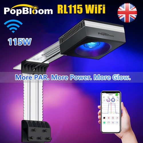 Popbloom rl115 wifi - marine, led