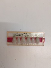 Odontotecnico Stecca Denti