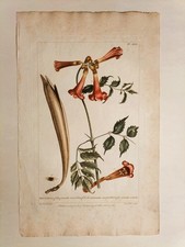 Lotto di 6 stampe antiche