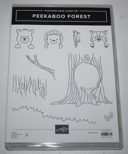 Stampin fotopolimero - up,