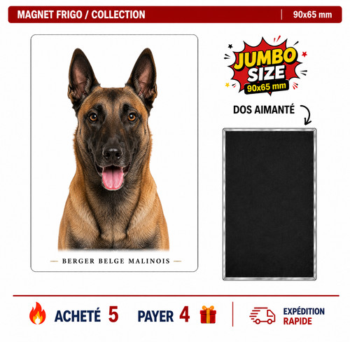 Magnet berger belge - , malinois