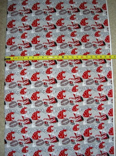 Washington state cougars - washington, cougs