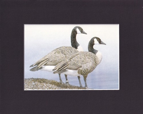 Timbro quadro 8x10 opaco