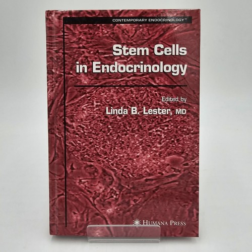 Stem cells endocrinology - stem, in