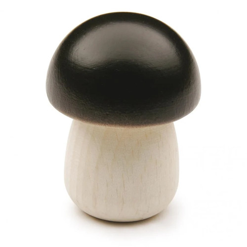 Erzi funghi porcini legno - porcini,