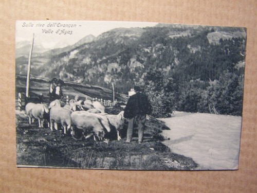 Valle ayas - valle,