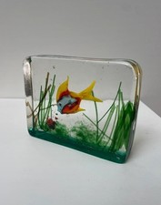 Acquario in vetro sommerso