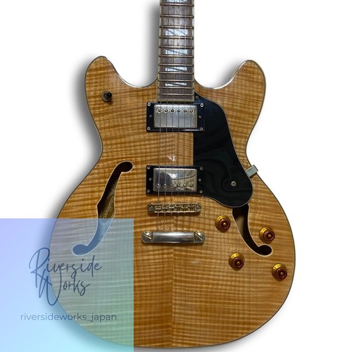 Washburn semi hollow - washburn, hb-35