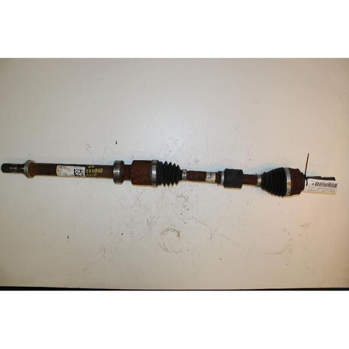 Semialbero ant compl dx - ant.,
