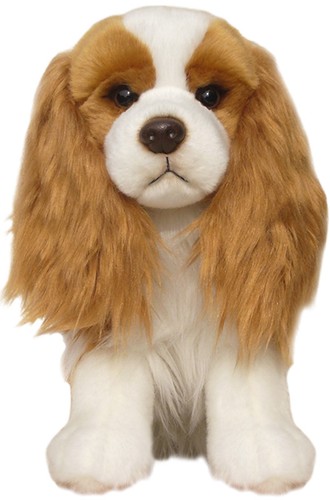 Peluche cavalier king - cavalier, charles