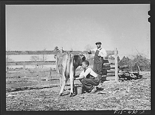 Foto zebulon north carolina - zebulon,