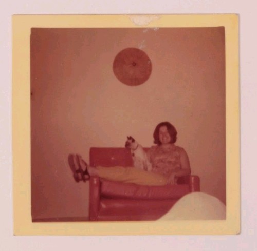 Foto ritrovata donna - foto, posa