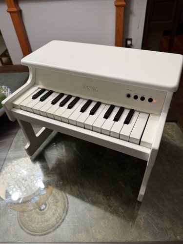 Korg mini tastiera tasti - 25,