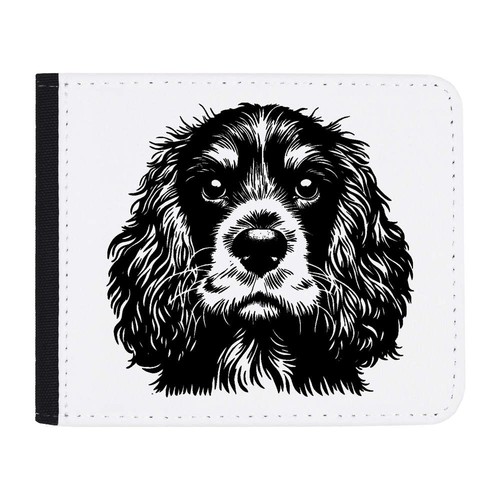 Cocker spaniel portrait - spaniel, portrait'