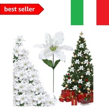 Fiore di Stella di Natale