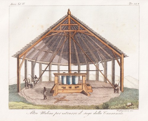Mulino zucchero caraibi - mulino, da