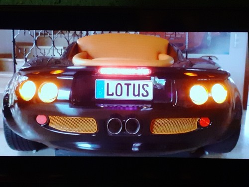 Clam lotus elise - lotus,