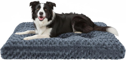 Cuccia per cani - per, di
