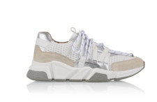 ++NUOVO++DWRS sneaker donna