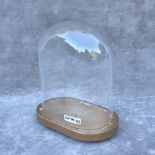 Vintage ovale vetro cloche