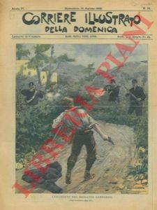 Salvadori uccisione del - uccisione,