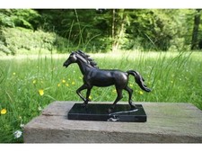 Cavallo grande figura effetto