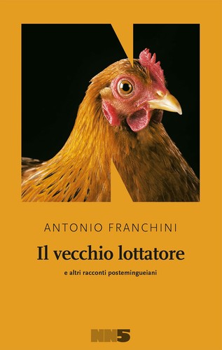 Libro nuovo il vecchio - libro,