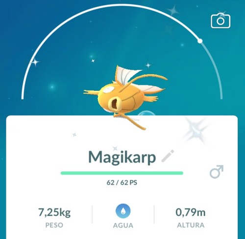 Pokemon shiny magikarp - pokemon,