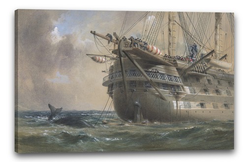 Tela cornice robert - robert, charles