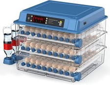 Incubatrice per Uova
