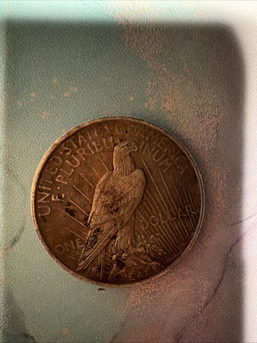Dollaro della pace 1924