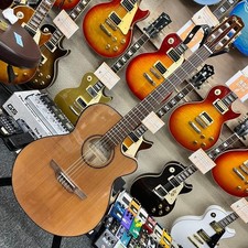 Takamine TSP10SN Cutaway